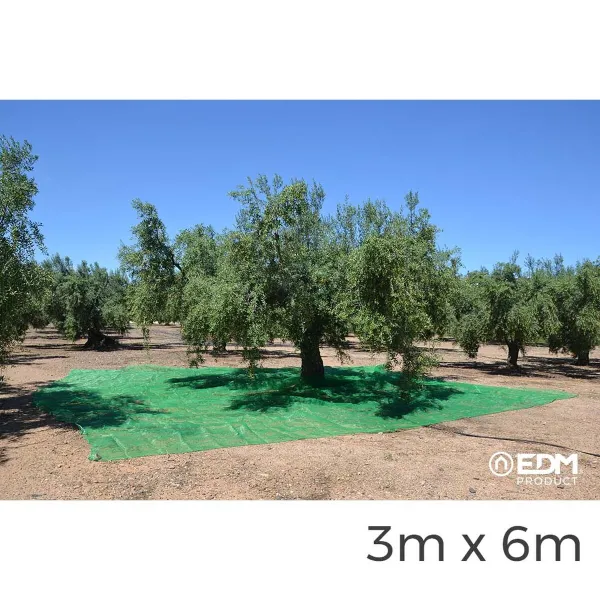 Trikoot EDM Hedelmäkeräin Vihreä polypropeeni 3 x 6 m