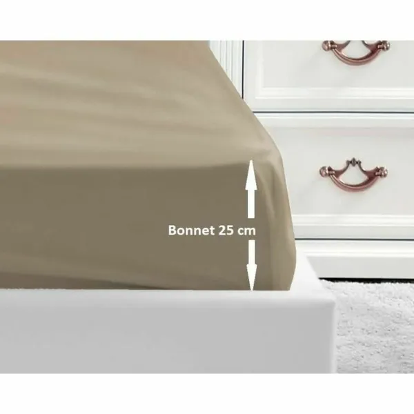 Fitted bottom sheet Lovely Home Beige Double bed 160 x 200 cm