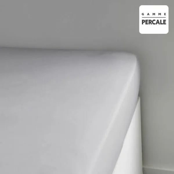 Подогнанный нижний лист TODAY Percale Светло-серый 140 x 200 cm Серый