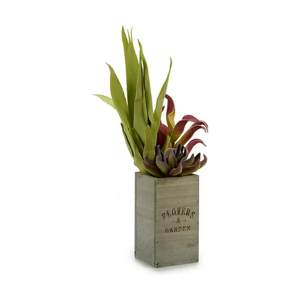 Koristekasvi Ibergarden Flowers Garden 10 x 50 x 10 cm Ruskea Vihreä (4 osaa)