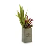 Dekoratīvs Augs Ibergarden Flowers Garden 10 x 50 x 10 cm Brūns Zaļš (4 gb.)