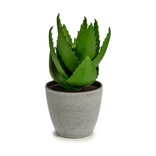 Dekoratyvinis augalas Ibergarden Plastmasinis Alijošius 15 x 23,5 x 15 cm (6 vnt.)