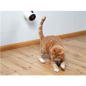 Laser Pointer Trixie