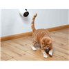 Laser Pointer Trixie