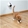 Laser Pointer Trixie