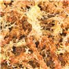 Substrate Trixie Moss