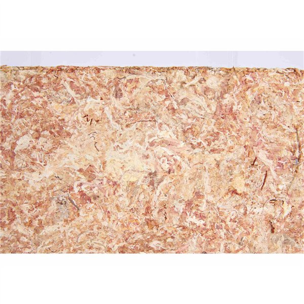 Substrate Trixie Moss