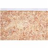 Substrate Trixie Moss