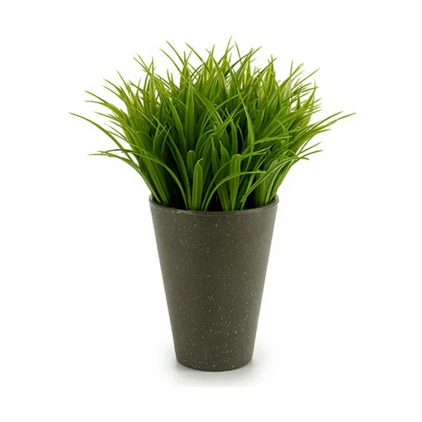 Dekoratīvs Augs Ibergarden Plastmasa 11 x 18 x 11 cm (12 gb.)