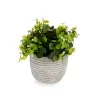 Dekoratyvinis augalas Ibergarden Plastmasinis Gėlės 20 x 20,5 x 20 cm (8 vnt.)