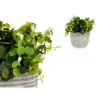 Dekoratyvinis augalas Ibergarden Plastmasinis Gėlės 20 x 20,5 x 20 cm (8 vnt.)
