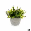 Dekoratīvs Augs Ibergarden Plastmasa Цветы 21 x 20,6 x 21 cm (8 gb.)