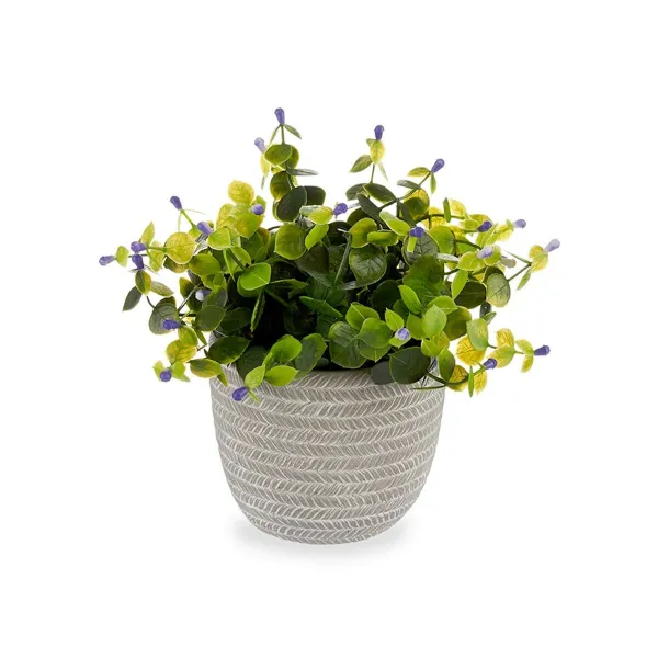 Dekoratīvs Augs Ibergarden Plastmasa Цветы 21 x 20,6 x 21 cm (8 gb.)