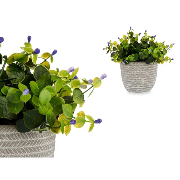 Dekoratīvs Augs Ibergarden Plastmasa Цветы 21 x 20,6 x 21 cm (8 gb.)