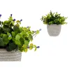 Dekoratīvs Augs Ibergarden Plastmasa Цветы 21 x 20,6 x 21 cm (8 gb.)