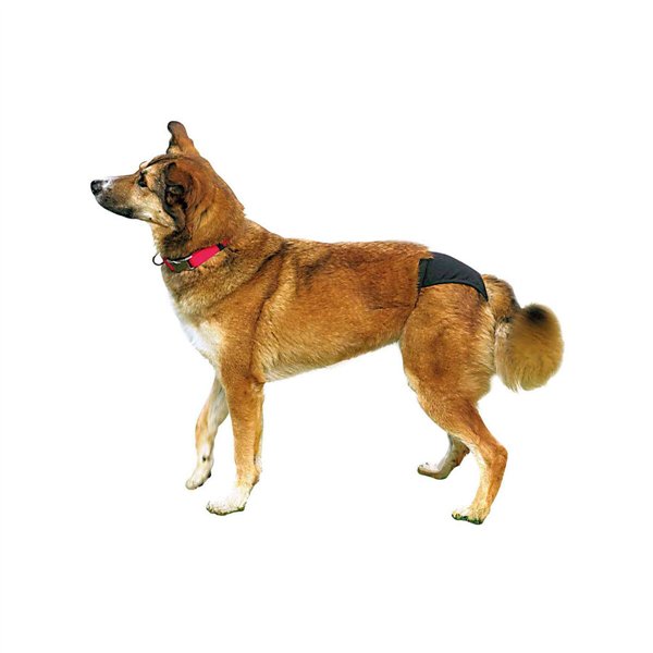 Apsauginės kelnaitės Trixie