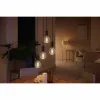 Išmani Lemputė Philips Globo G93 - Bombilla inteligente E27 7 W 40 W 60 W E27 LED