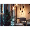 Smart Light bulb Philips Globo G93 - Bombilla inteligente E27 7 W 40 W 60 W E27 LED