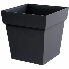 Stiklainis EDA Pilka polipropileno Plastmasinis 39 cm 39 x 39 x 39 cm
