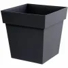 Stiklainis EDA Pilka polipropileno Plastmasinis 39 cm 39 x 39 x 39 cm