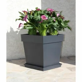 Stiklainis EDA Pilka polipropileno Plastmasinis 39 cm 39 x 39 x 39 cm