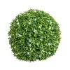 Koristekasvi   Kamuolys Appelsiininkukka 30 x 30 x 30 cm