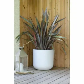 Банка EDA Белый Пластик Круглая Ø 40 cm