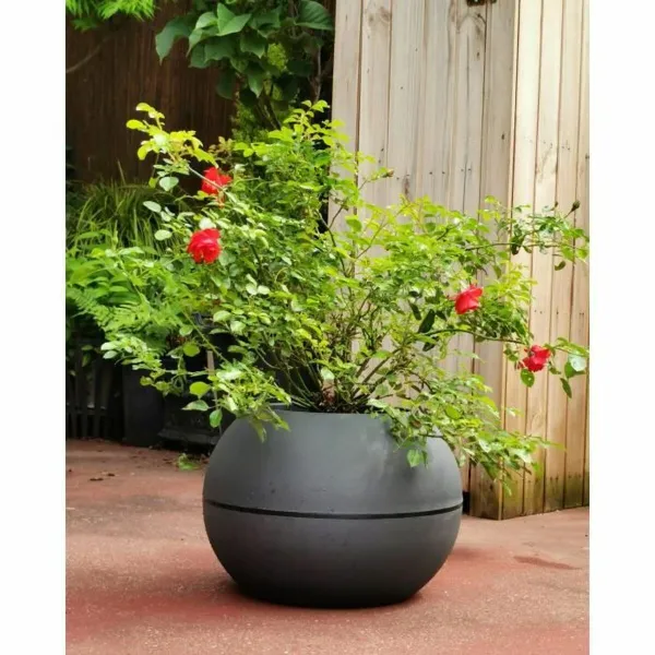 Pušķi Riviera 814276 Pelēks Apaļš Чаша Ø 40 cm