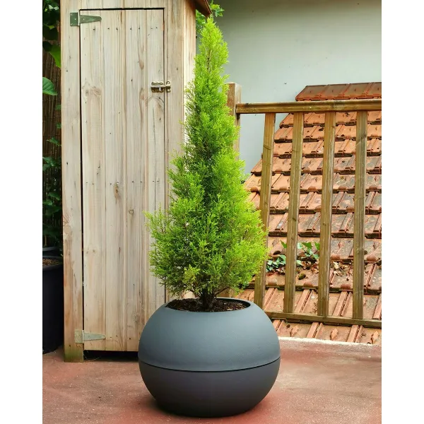 Stiklainis Riviera 814276 Pilka Apskritas Kamuolys Ø 40 cm