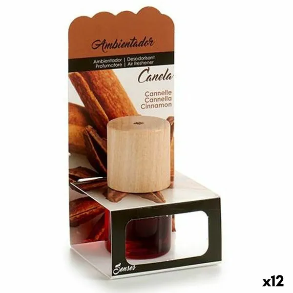 Gaisa Atsvaidzinātājs Kanēlis (12 gb.)