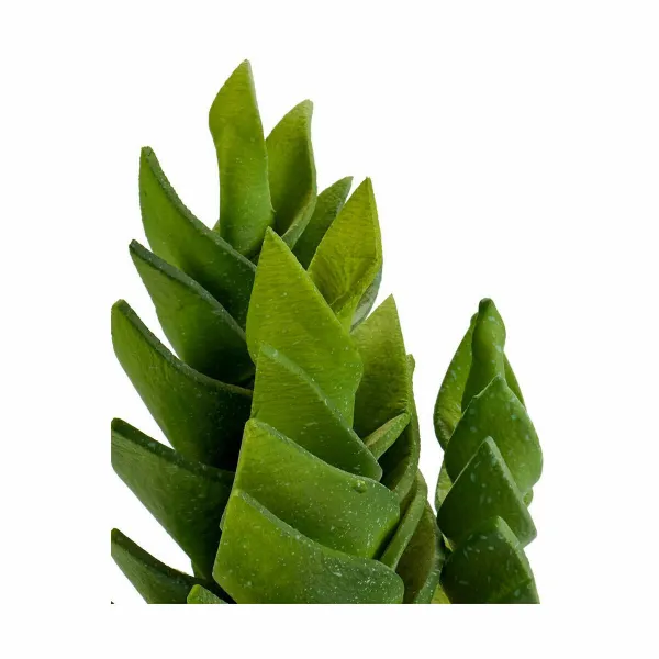 Dekoratyvinis augalas Ibergarden Plastmasinis Sultingi 12 x 24 x 12 cm (6 vnt.)
