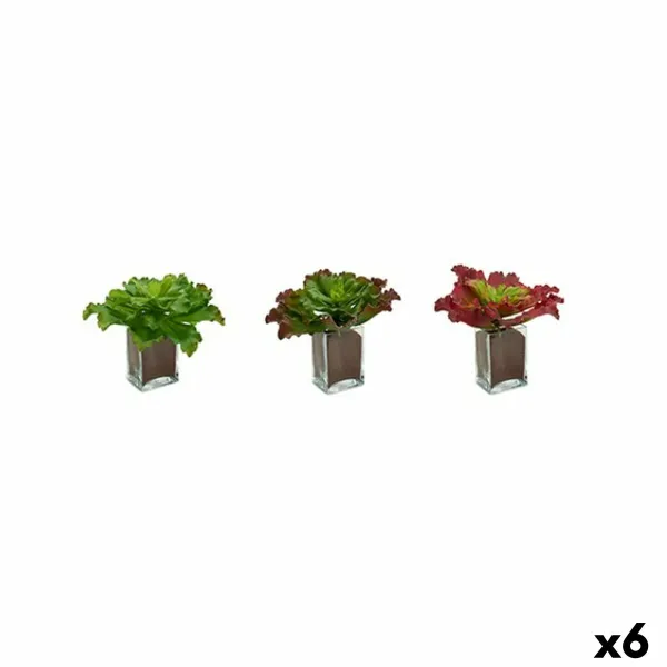 Dekoratīvs Augs Ibergarden Plastmasa Loksnes Liels 31 x 24 x 31 cm Daudzkrāsains (6 gb.)
