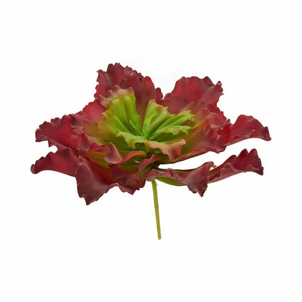 Dekoratīvs Augs Ibergarden Plastmasa Loksnes Liels 31 x 24 x 31 cm Daudzkrāsains (6 gb.)