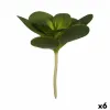 Decorative Plant Ibergarden Plastic Sheets Circular 18 x 23 x 18 cm (6 Units)