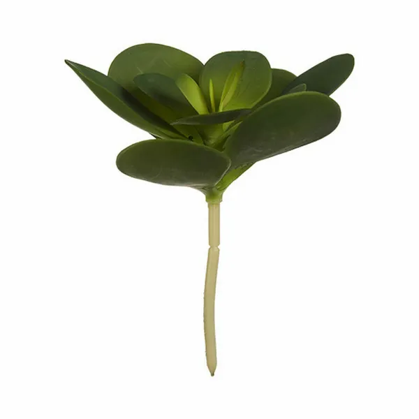 Decorative Plant Ibergarden Plastic Sheets Circular 18 x 23 x 18 cm (6 Units)