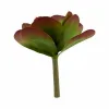 Dekoratyvinis augalas Ibergarden Plastmasinis Paklodės Didelis 27 x 29 x 27 cm Dvispalviais (6 vnt.)