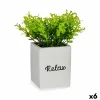 Koristekasvi Ibergarden Muovinen Sementti Levyt Pieni 13 x 18 x 13 cm (6 osaa)