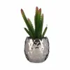 Dekoratyvinis augalas Ibergarden Keramikinis Plastmasinis Kaktusas 10 x 20 x 10 cm (6 vnt.)