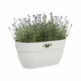 Stiklainis Elho 3662603645100 Balta Plastmasinis Stačiakampis Šiuolaikiškas 24 x 36 x 26,5 cm