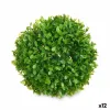 Dekoratyvinis augalas Ibergarden Plastmasinis Kamuolys 17 x 13,5 x 17 cm (12 vnt.)