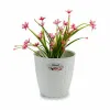 Подставка под цветочный горшок Stefanplast Белый Пластик 19 x 17,5 x 19 cm (12 штук)