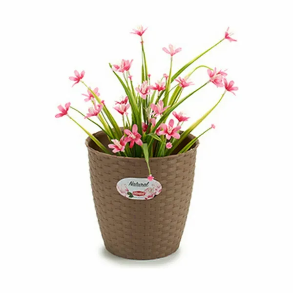 Подставка под цветочный горшок Stefanplast Коричневый Пластик 19 x 17,5 x 19 cm (12 штук)