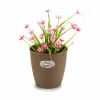 Подставка под цветочный горшок Stefanplast Коричневый Пластик 19 x 17,5 x 19 cm (12 штук)