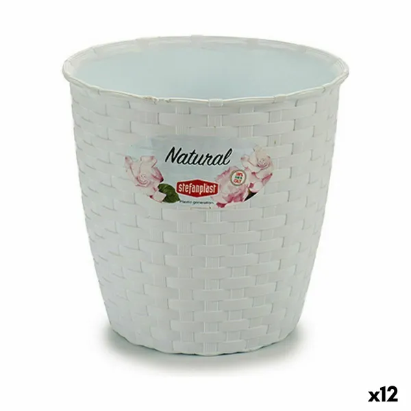 Kasvit Stefanplast Valkoinen Muovinen 14 x 13 x 14 cm (12 osaa)