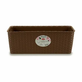 Sodinukas Stefanplast Rusvai gelsva Plastmasinis 39 x 13,5 x 15,5 cm 38,5 x 13,5 x 15,5 cm (12 vnt.)