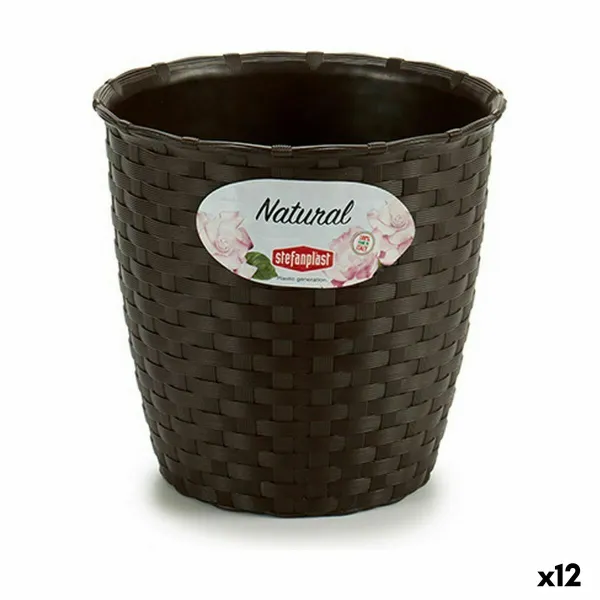 Kasvit Stefanplast Muovinen 14 x 13 x 14 cm (12 osaa)