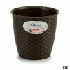 Kasvit Stefanplast Muovinen 14 x 13 x 14 cm (12 osaa)