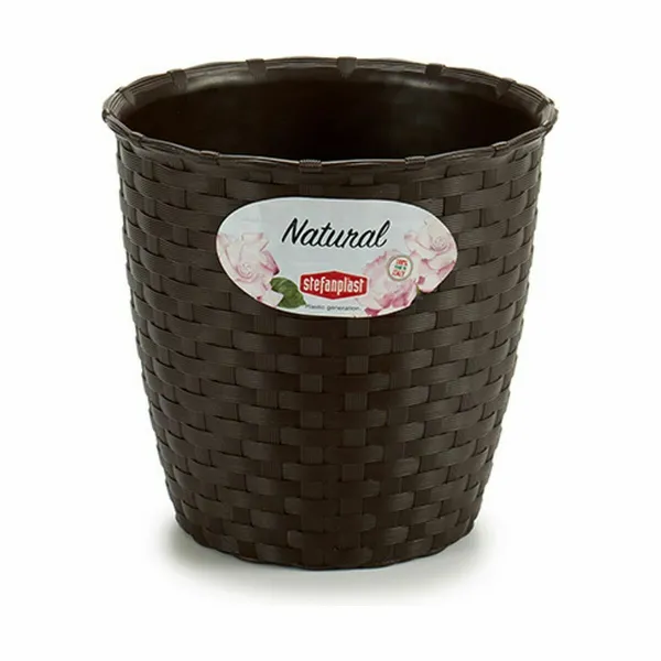 Kasvit Stefanplast Muovinen 14 x 13 x 14 cm (12 osaa)