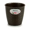 Kasvit Stefanplast Muovinen 14 x 13 x 14 cm (12 osaa)