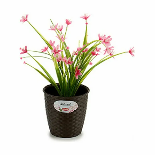 Kabantis šviestuvas Stefanplast Plastmasinis 14 x 13 x 14 cm (12 vnt.)